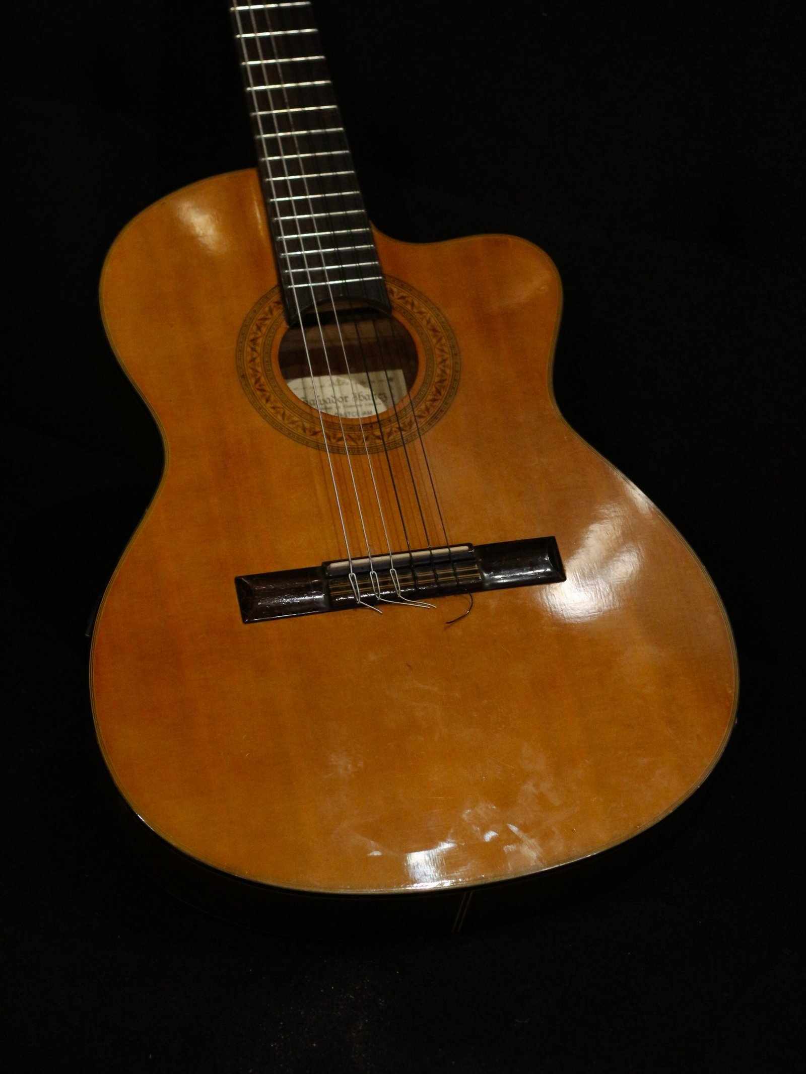 Ibanez Thinline Classical Salvador GA5TCE-AM (Used)