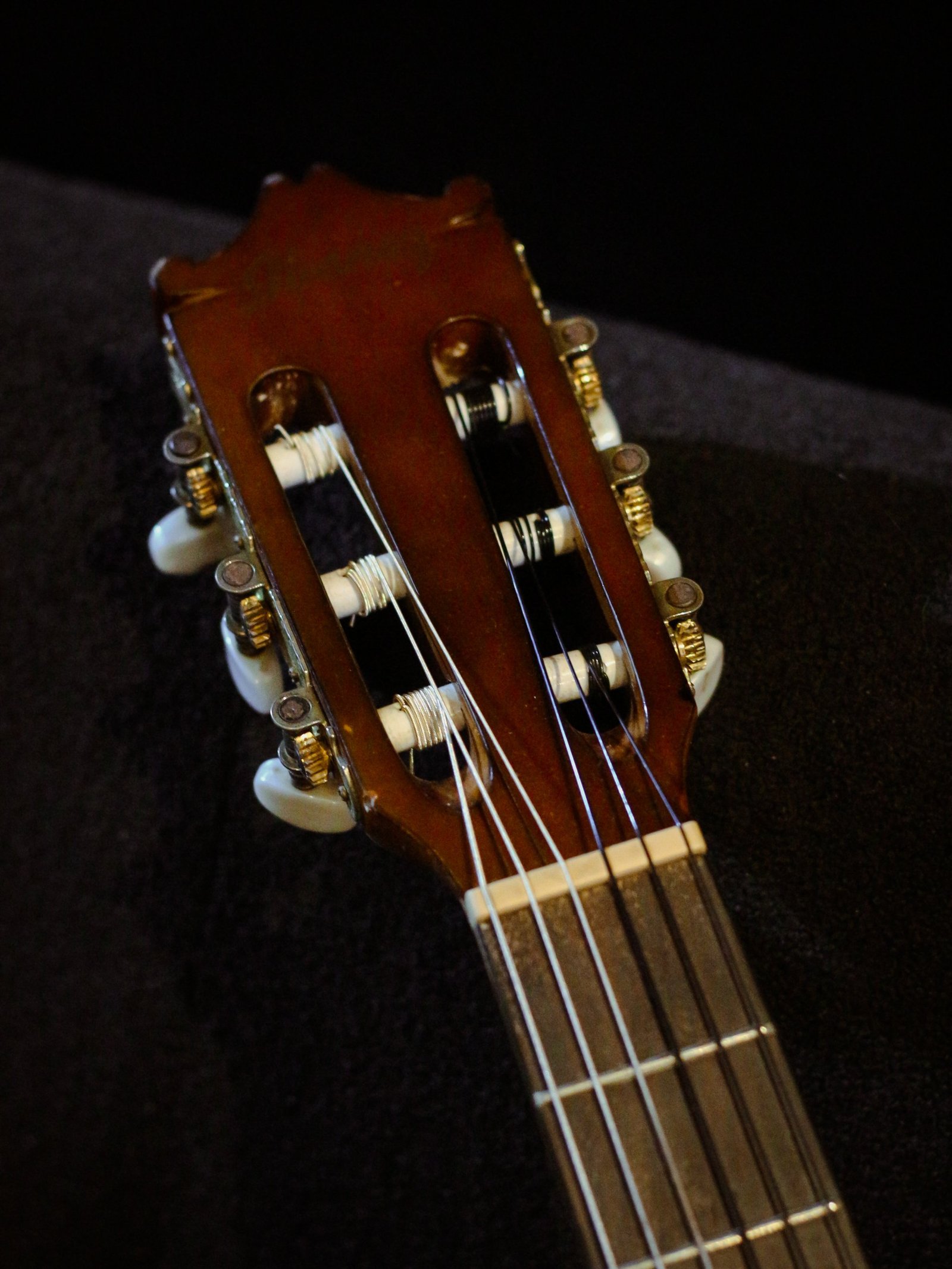 Ibanez Thinline Classical Salvador GA5TCE-AM (Used) - Image 5
