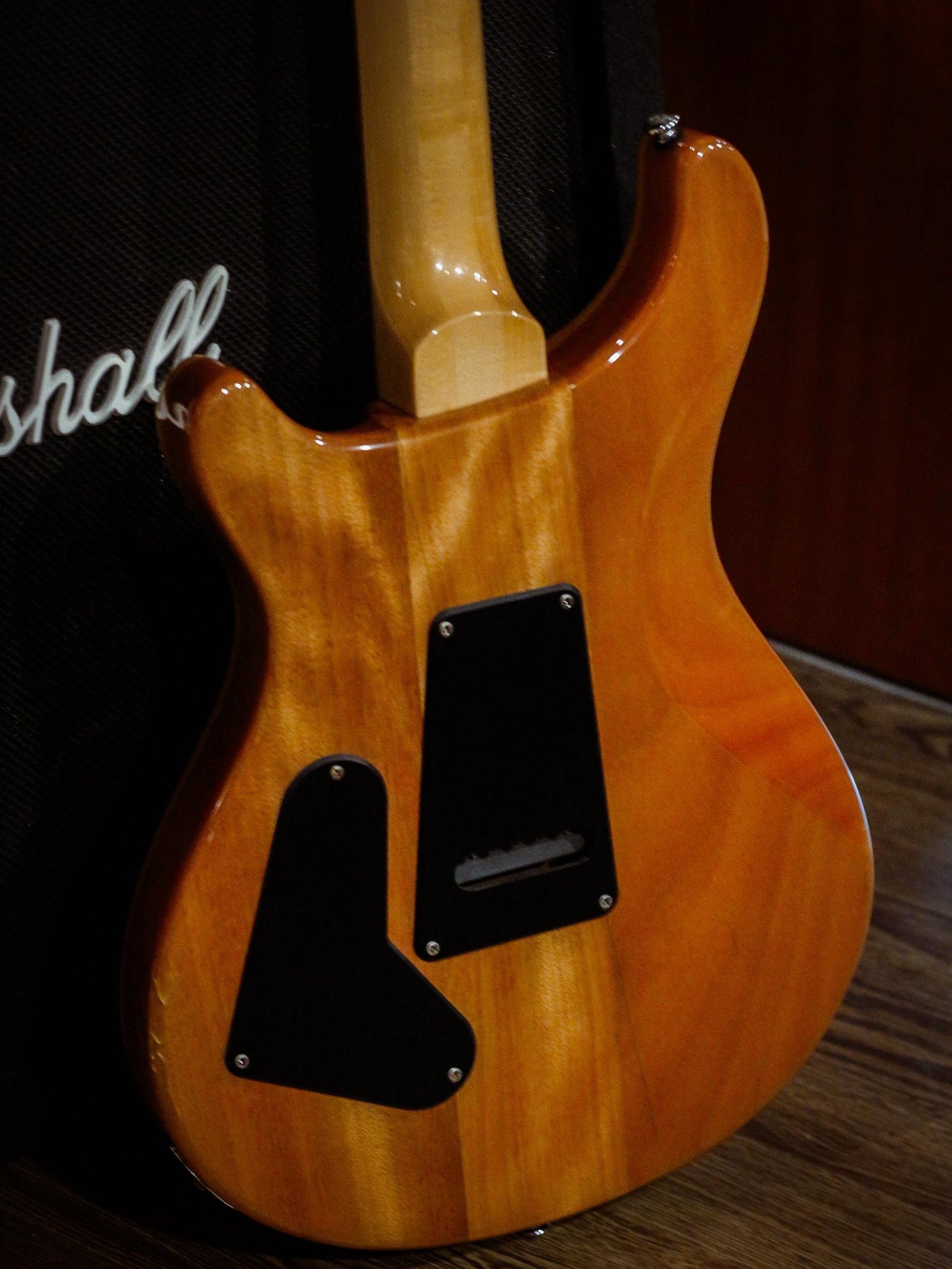 PRS SE Custom 24 Turquoise - Image 4