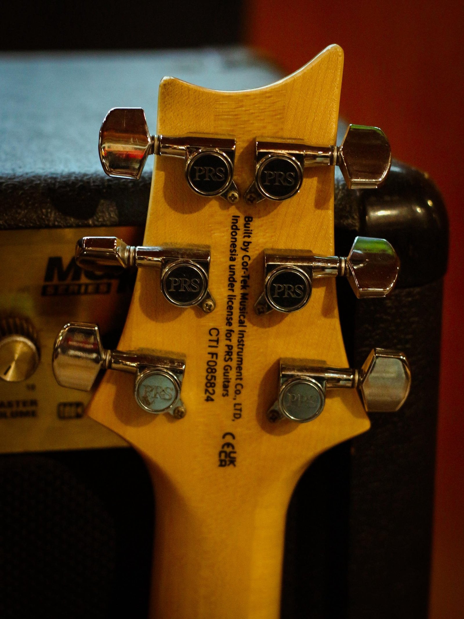 PRS SE Custom 24 Turquoise - Image 7