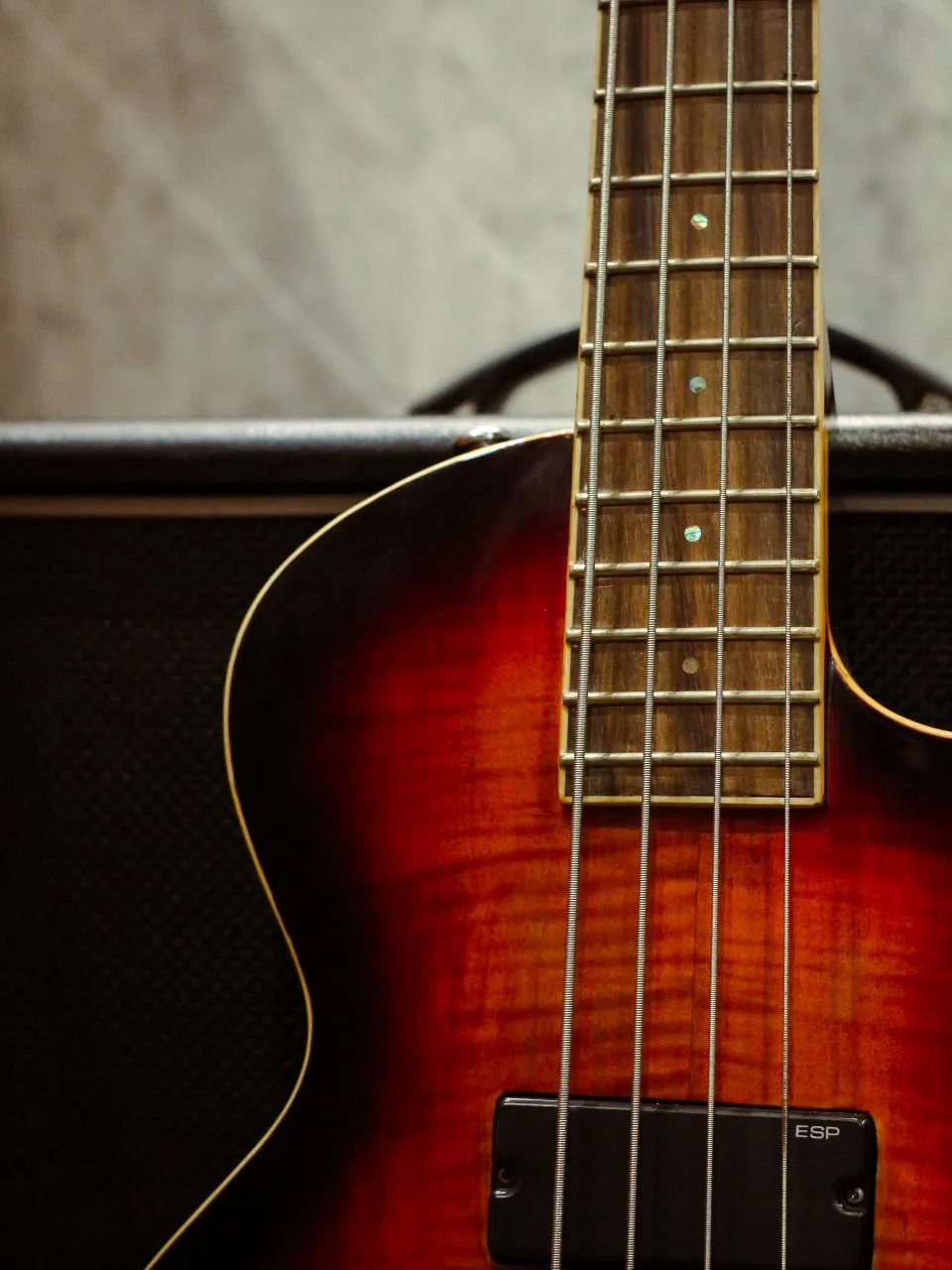 ESP LTD EC-254 Flame Maple Tobacco Sunburst - Image 6
